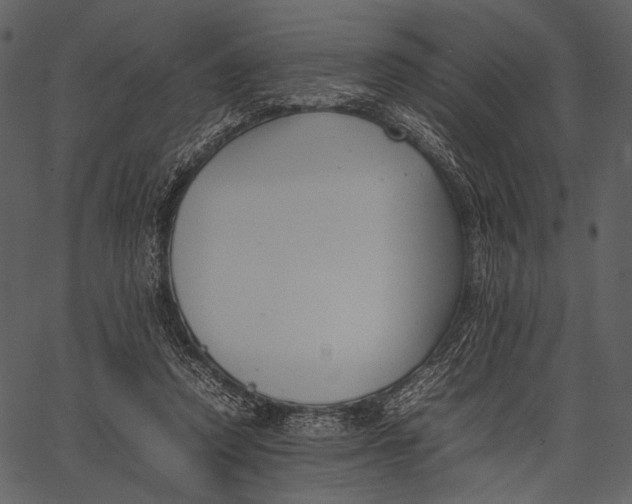 X0000062600354200601110948