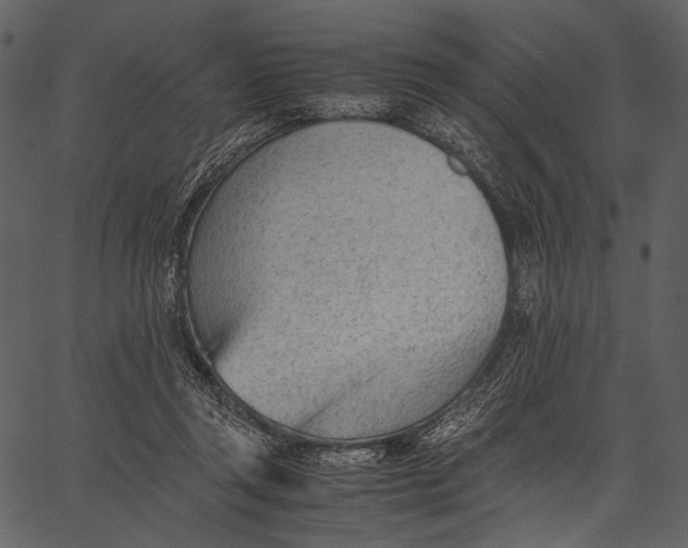 X0000062600357200601110948