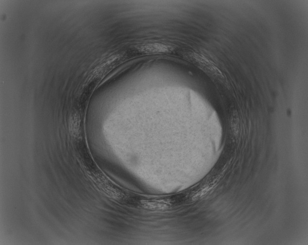 X0000062600359200601110948