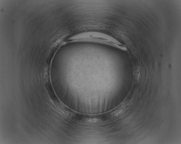 X0000062600360200601110948