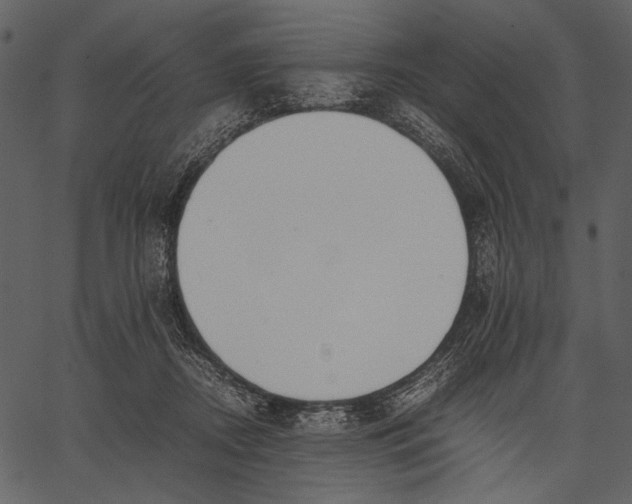 X0000062600362200601110948