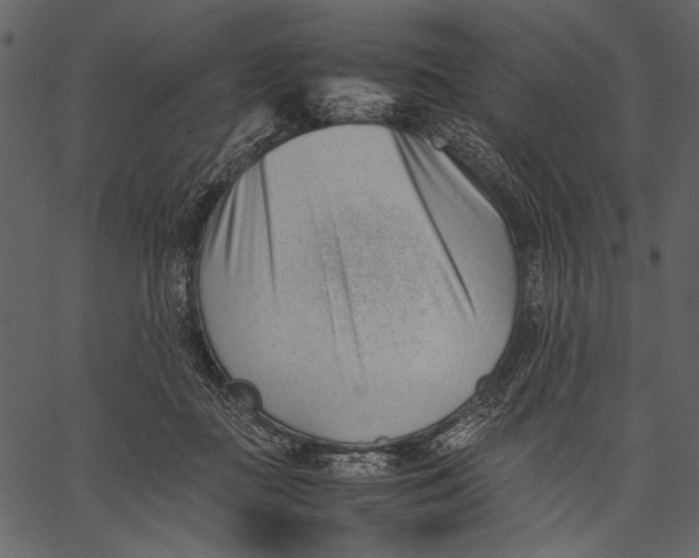 X0000062600363200601110949