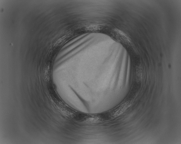 X0000062600364200601110949
