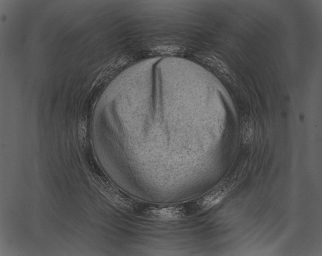 X0000062600365200601110949