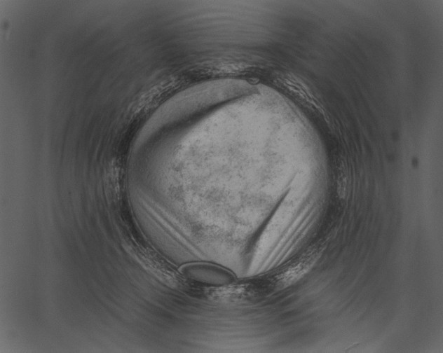 X0000062600366200601110949