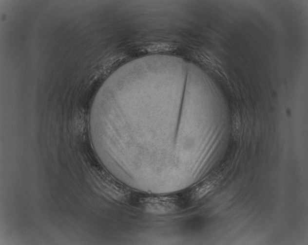 X0000062600367200601110949