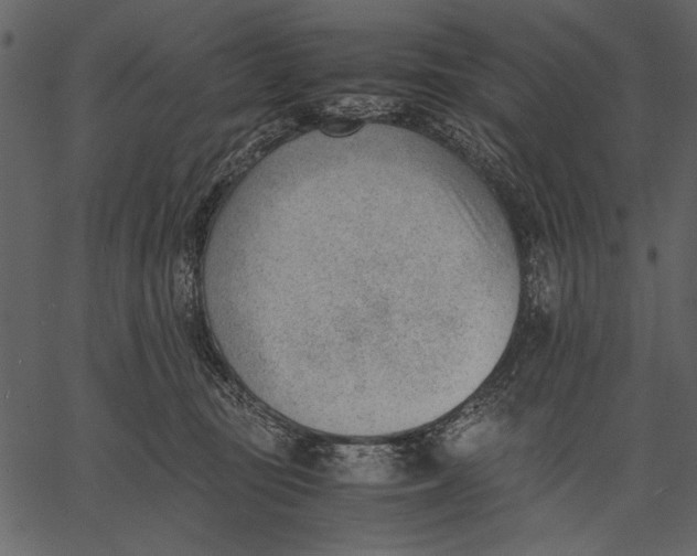 X0000062600371200601110949