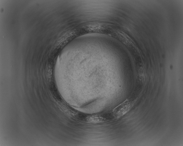 X0000062600372200601110949