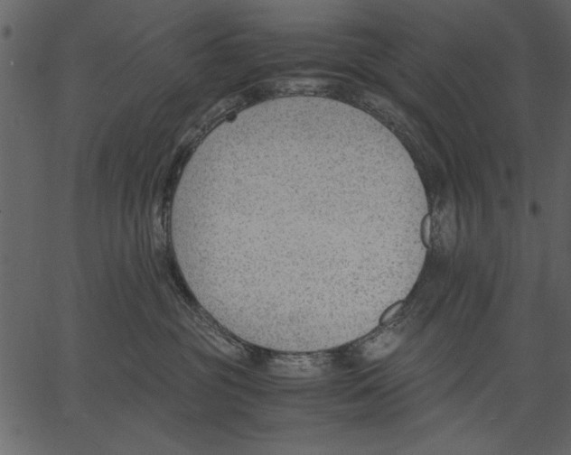 X0000062600381200601110949