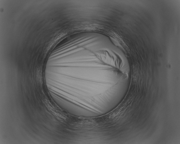 X0000062600386200601110948