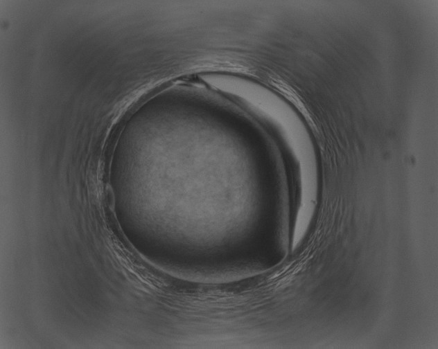 X0000062600387200601110948