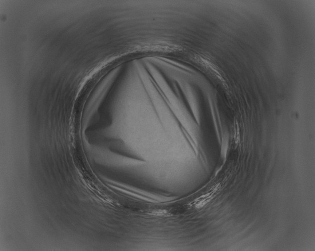 X0000062600388200601110948