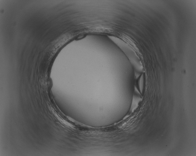 X0000062600389200601110948