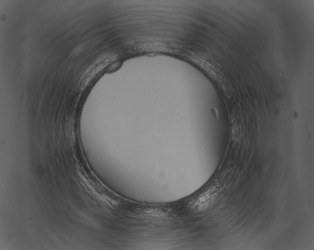 X0000062600390200601110948