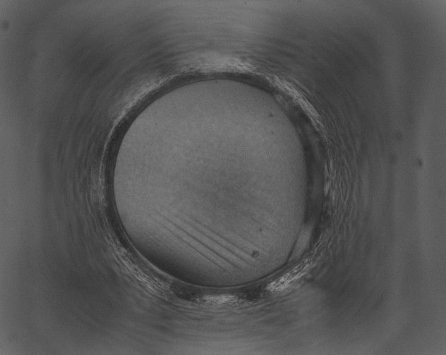 X0000062600391200601110948