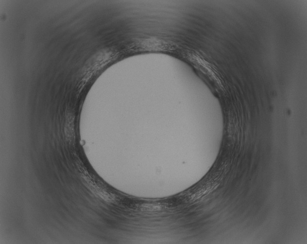 X0000062600394200601110948
