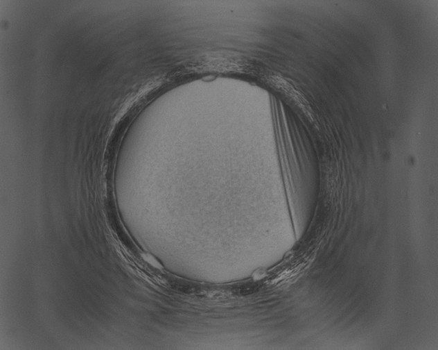X0000062600395200601110948