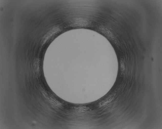 X0000062600396200601110948