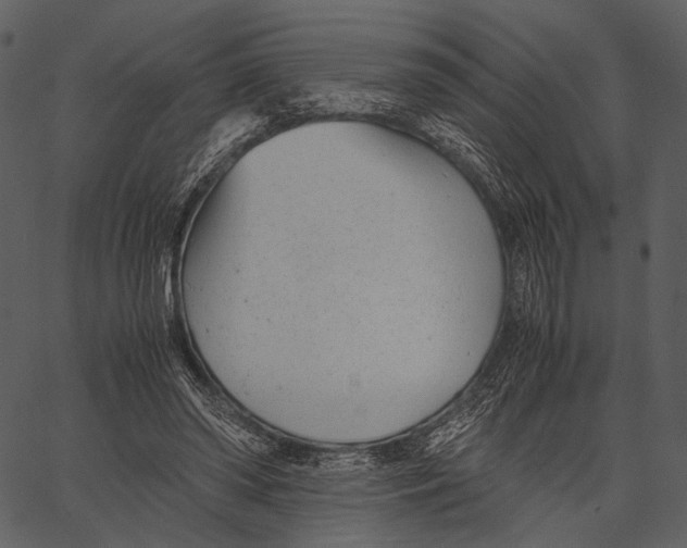 X0000062600398200601110948