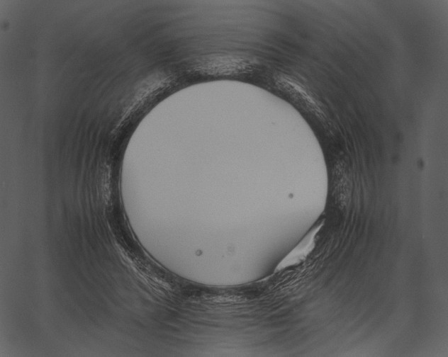X0000062600400200601110948