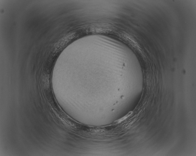 X0000062600401200601110948
