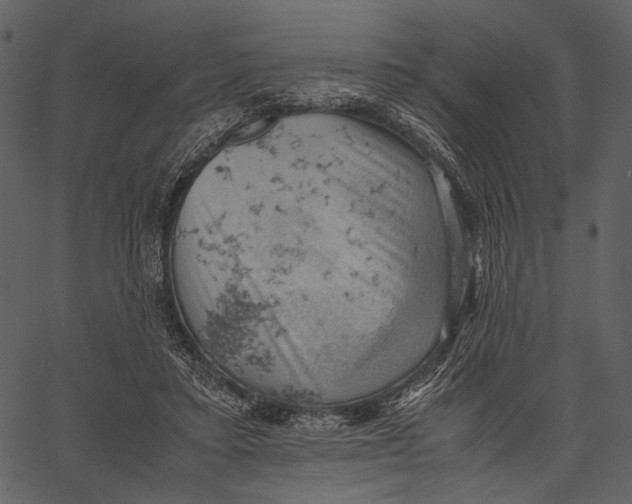 X0000062600403200601110948