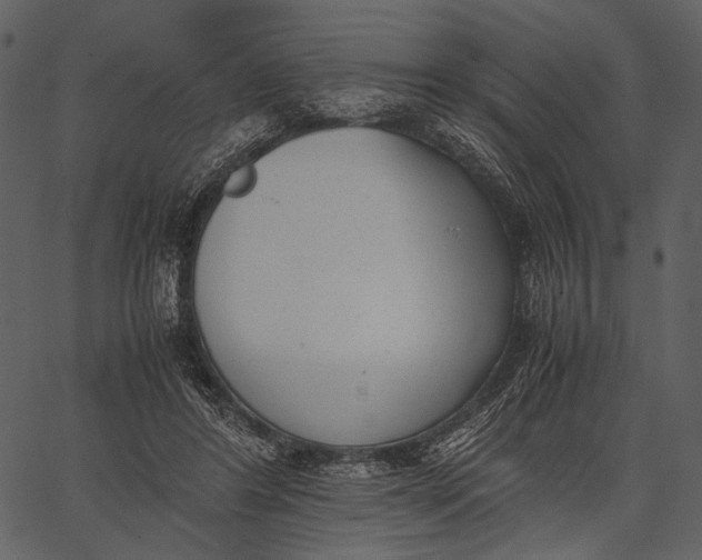 X0000062600404200601110948