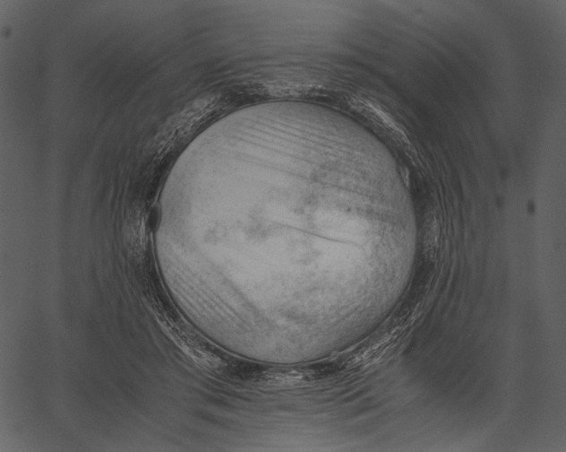 X0000062600405200601110948