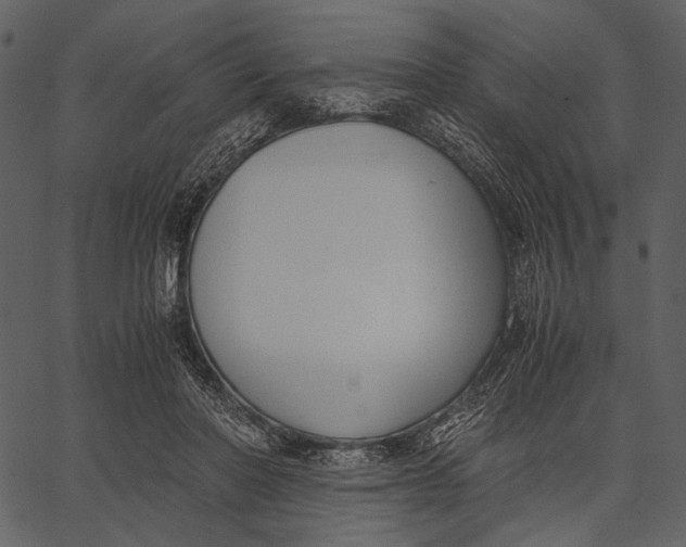 X0000062600406200601110948