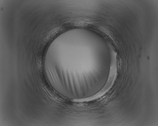 X0000062600407200601110948
