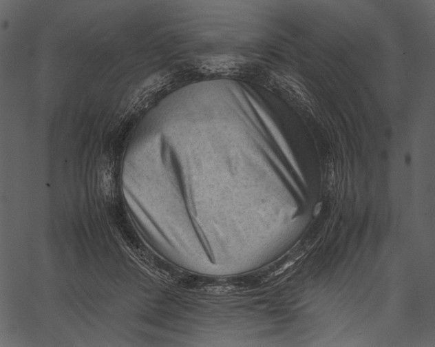 X0000062600408200601110948