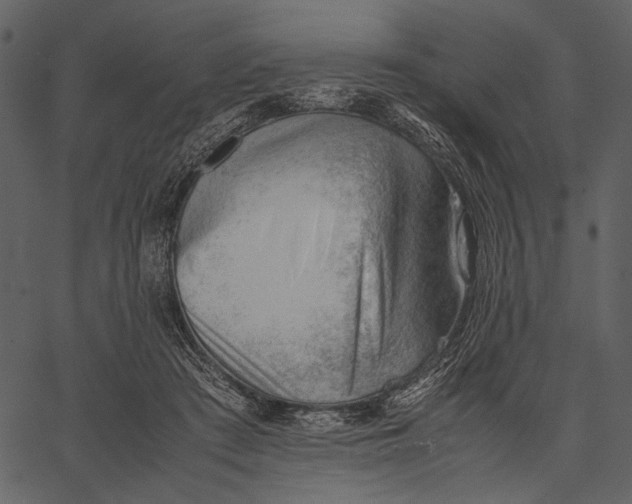 X0000062600409200601110948