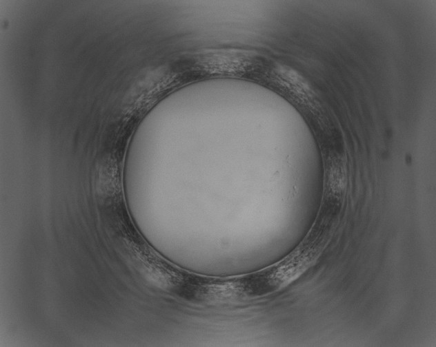 X0000062600411200601110948