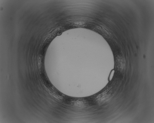 X0000062600412200601110948