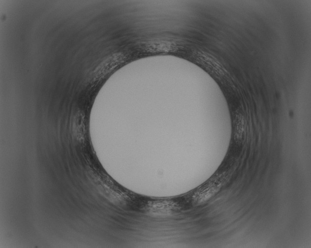X0000062600414200601110948
