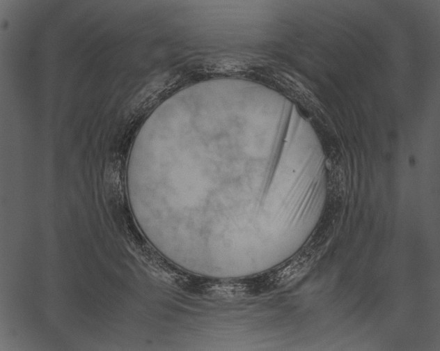 X0000062600415200601110948