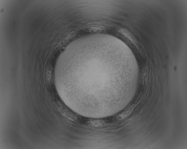 X0000062600417200601110948