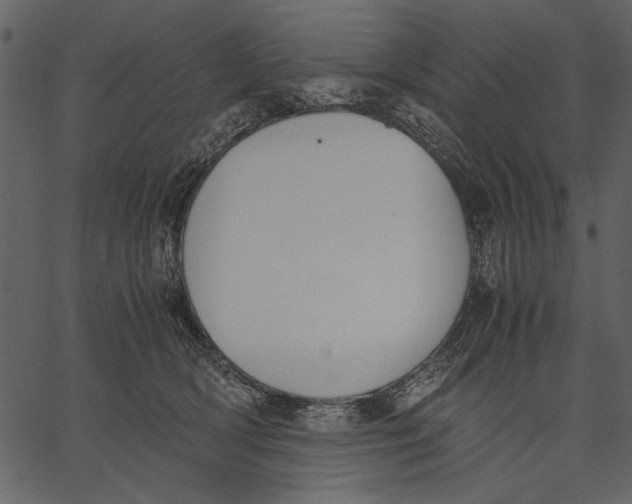 X0000062600418200601110948