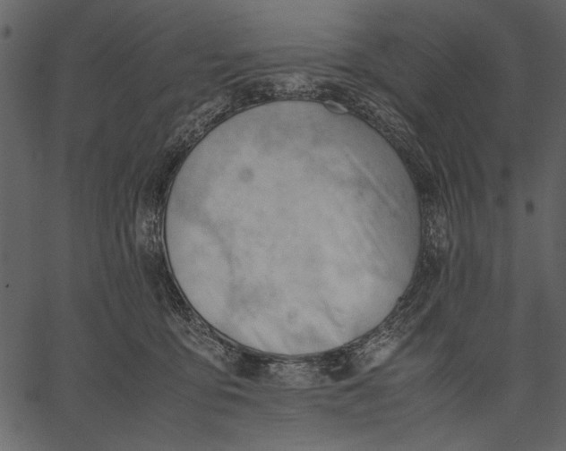 X0000062600419200601110947