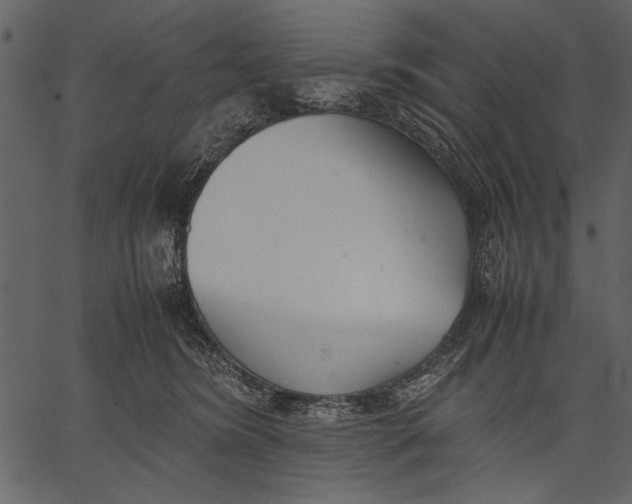 X0000062600420200601110947