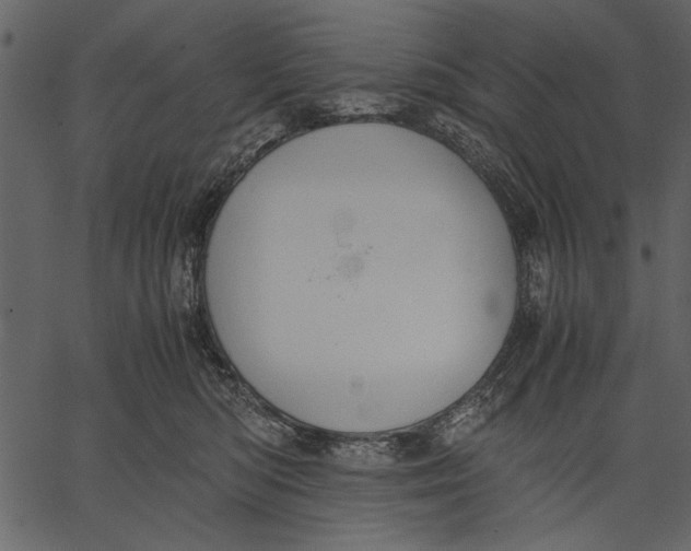 X0000062600422200601110947