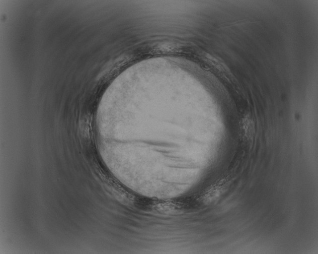 X0000062600423200601110947
