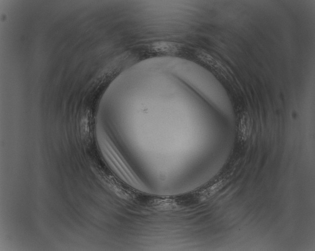 X0000062600424200601110947