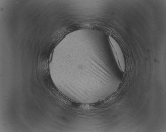 X0000062600425200601110947