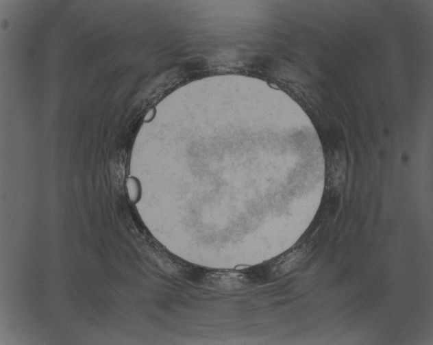 X0000062600427200601110947