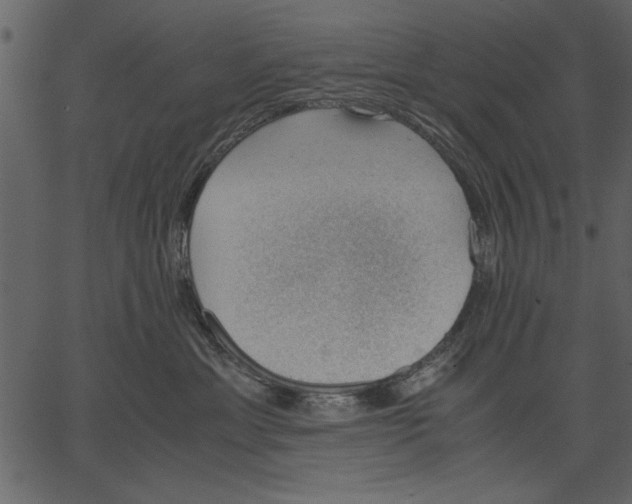 X0000062600429200601110947