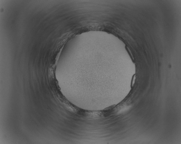X0000062600432200601110947