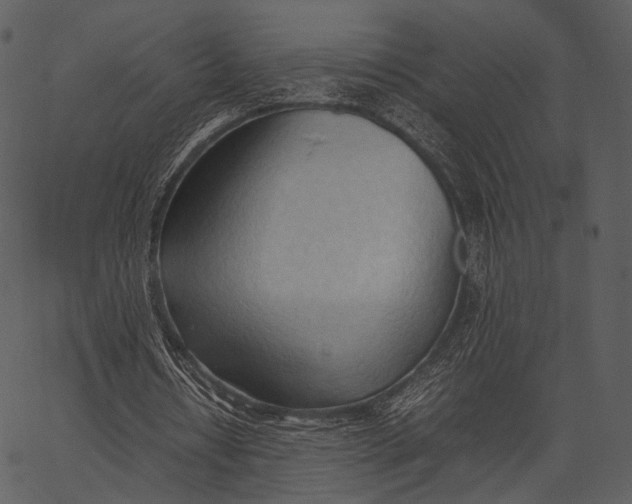 X0000062600434200601110946