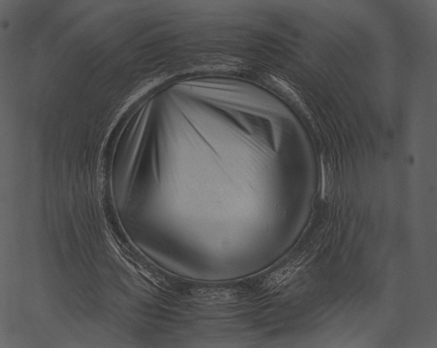 X0000062600435200601110947
