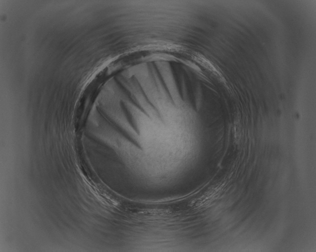 X0000062600436200601110947